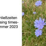 assets/images/2/Schlie%C3%9Fzeiten%20Sommer%2023key.001-f9c39484.jpeg