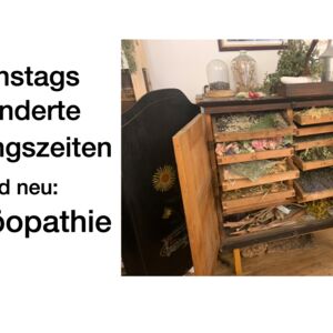 assets/images/9/Di%20neue%20Oeffnung.001-a208dd93.jpeg